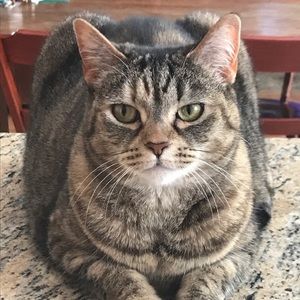 Meet your Posher, Leslie